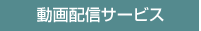 動画配信サービスについて